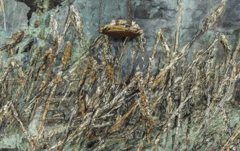 Anselm Kiefer at the Royal Academy