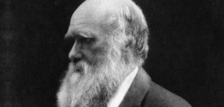 Charles Darwin, photographed by Julia Margaret Cameron (1868)