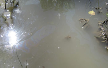 Oil leak in river