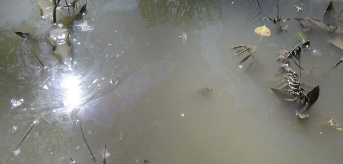 Oil leak in river