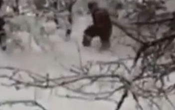 Russian Yeti video