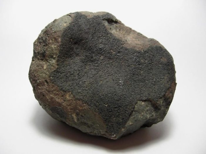 Carbonaceous chondrite meteorite