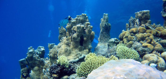 Great Barrier Reef