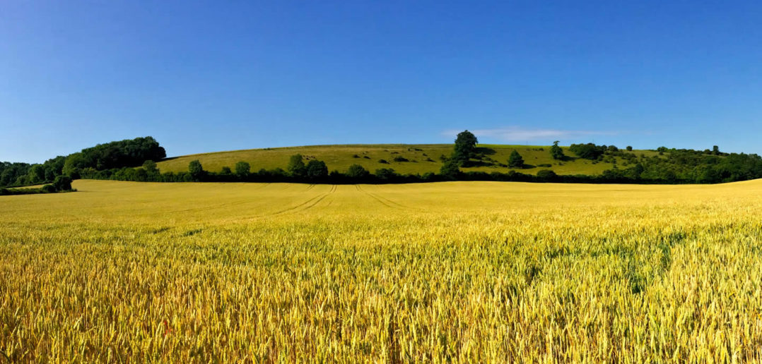 Farm fields in the UK