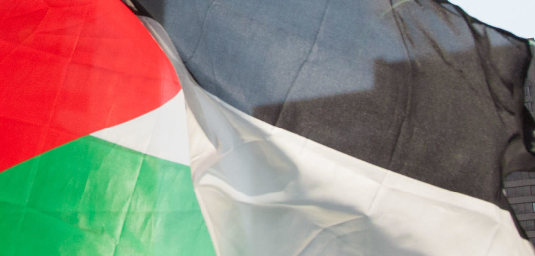 Palestine flag