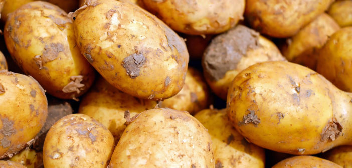 Potatoes