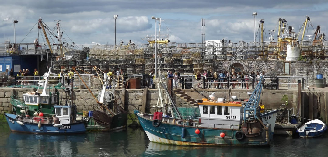 Fishing boats in Devon, UK
