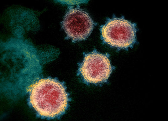 Coronavirus: 5 ways to put evidence into action during outbreaks like COVID-19