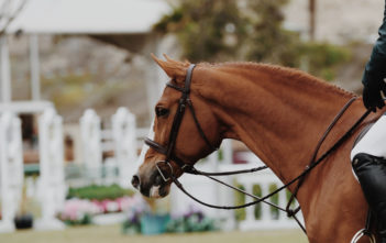 Horse racing
