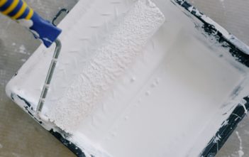 Pint roller for redecoration