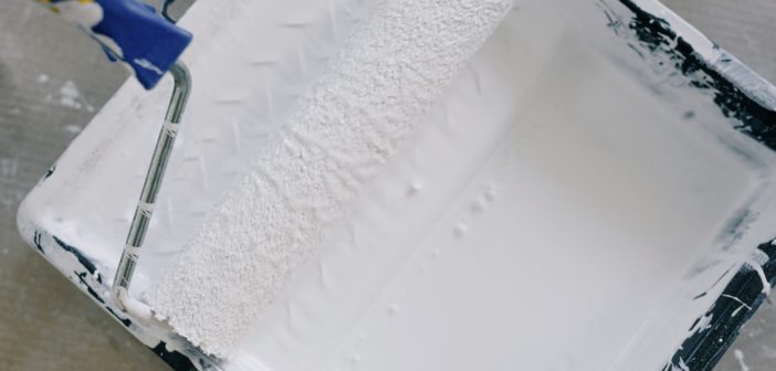 Pint roller for redecoration